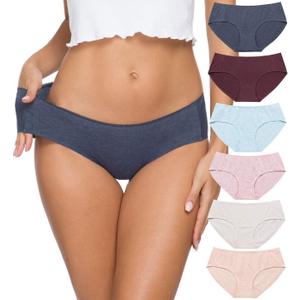 Wealurre Cotton Bikini Women's Breathable Panties Seamless Comfort Underwear (Medium, Light 4)