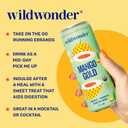 wildwonder Sparkling Probiotic Drink 12pk, For Gut Health & Immune Support, Mango Gold, 5g Prebiotic Fiber, Live Probiotics, Organic, Vegan, Low Sugar, 12 Pack, 12oz Can, As Seen on Shark Tank