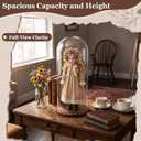 22'' × 8.66'' Glass Dome Cloche Display with Wood Base, Clear Display Jar