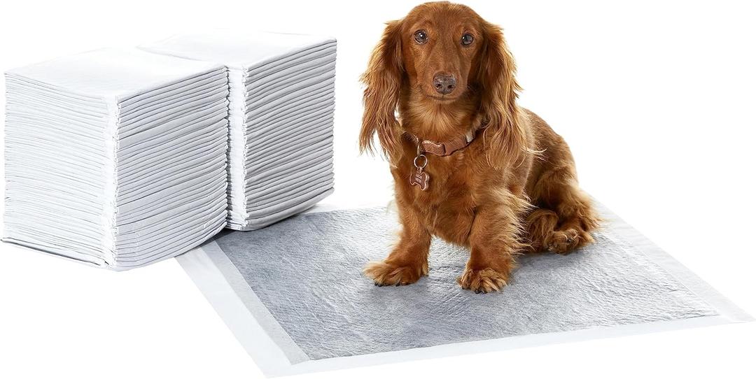 Amazon Basics Carbon Odor-Control Dog and Puppy Pee Pads, 5-Layer Leak-Proof Super Absorbent, Quick-Dry Surface, Potty Training, Regular (22x22"), 80 Count, Gray