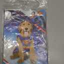 DC Comics Superhero Superman Halloween Costume for Dogs, Medium (Blue)