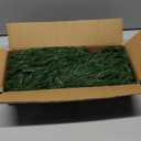 12 Pcs Artificial Norfolk Pine Branches, Norfolk Pine Artificial Pine Stems DIY Crafts Faux Christmas Greenary Norfolk Pine Branches for Xmas Wreath Garland Home Decor (12)