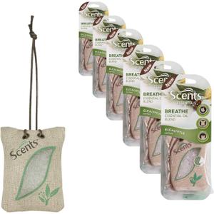 Scents Automotive Essentials Sachet Air Freshener: Breathe; 6 Count