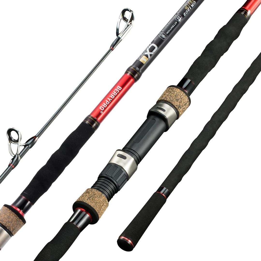 BERRYPRO Surf Spinning Rod Full Carbon Surf Fishing Rod Meduim Action Surf Rod (11'-2pc)