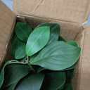 16" Artificial Eucalyptus Stems Potted Plant Indoor Fake Plants - Realistic Greenery with Vase, Small Artificial Office Desk Plants in Pots for Home Decor Weddings Centerpieces