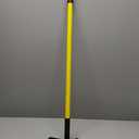 FURemover Original Pet Hair Rubber Broom with Squeegee, with 58" Telescopic Handle for Carpet, Tile and Hardwood