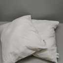 Pillows (Set of 2, White) – 24 x 18  Pillows for Bed, Sofa, and Couch - Fluffy Decorative Stuffer Pillow for Indoors & Outdoors