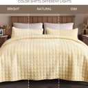 Fleeco Double-Sided Velvet Queen Size Quilt Comforter Set, Reversible 92''x96'' Oversized Luxury Ultra Soft Bedspread with 2 Matching Shams, All-Season Bedding, Cream Yellow