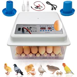 Incubators for Hatching Eggs, Egg Incubator with Automatic Egg Turning and Humidity Control, Egg Incubator for Chicken Quail Duck Pigeon Eggs(36 Eggs)