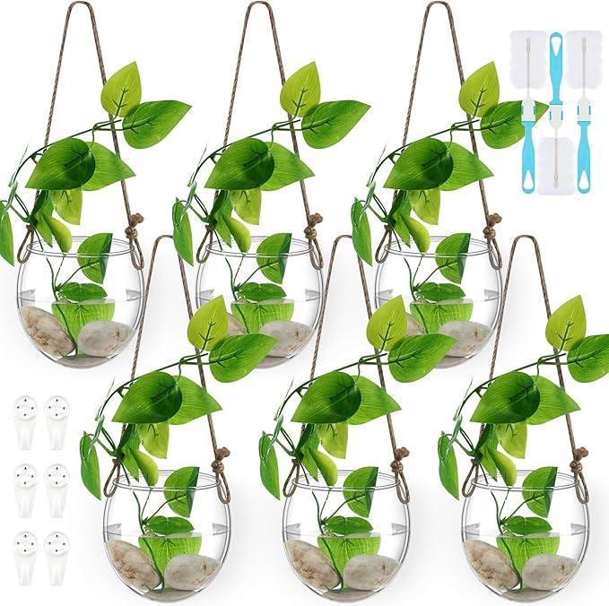 Sunnychicc 6 Pcs Wall Hanging Planter Glass Plant Pot Water Terrarium Containers Wall Vases for Flowers Air Hydroponic Propagation Glass Plant Holder Home Room Window Office(Oblate)