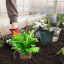 50 Pack 6 Inch Nursery Pots, Planting Grow Plastic Flower Pots, Thick Planters with Drainage Holes for Outdoor/Indoor Plants Succulent Herb (Green)