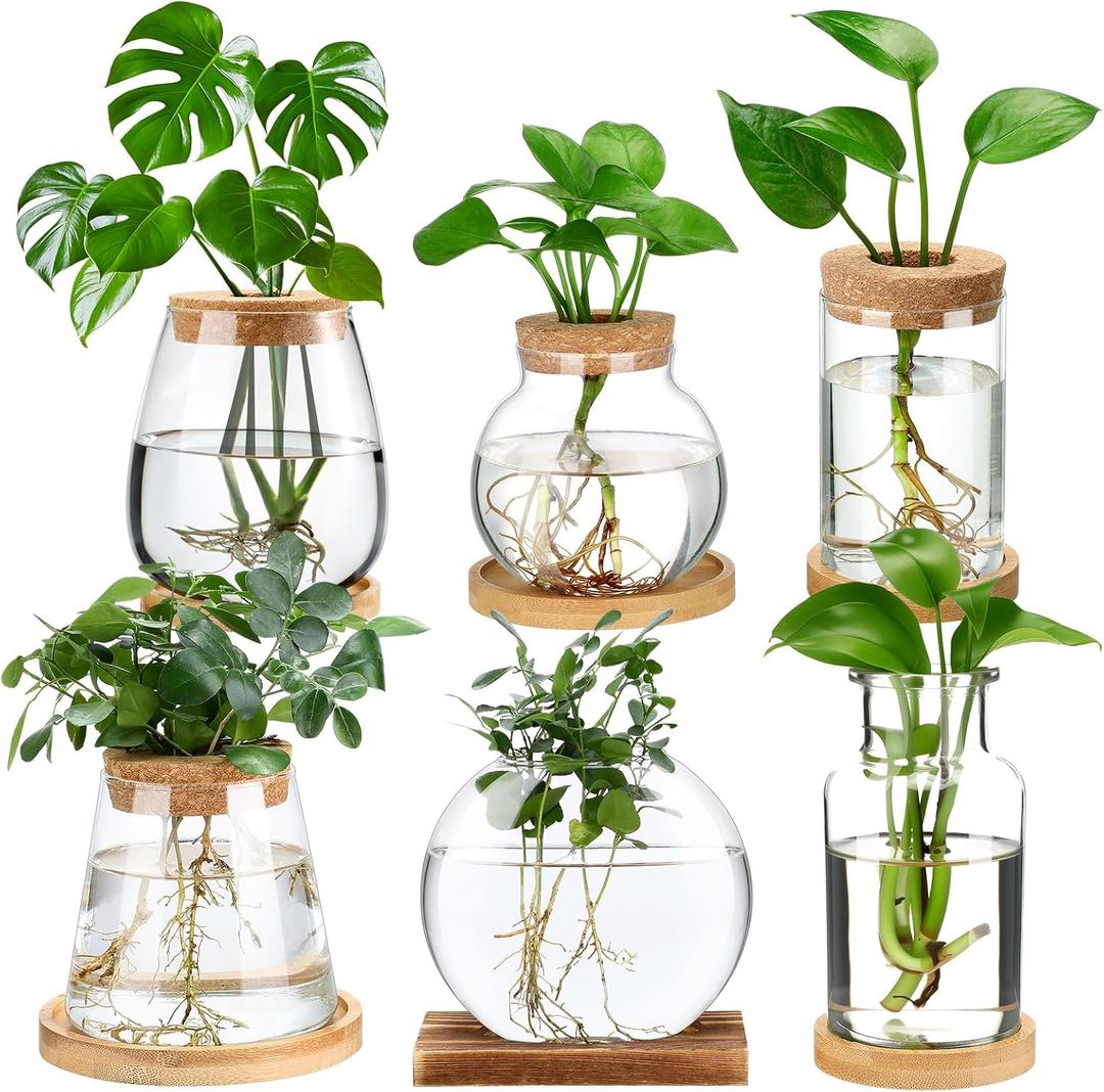 Honeydak 5 Pcs Plants Propagation Stations Planter Terrariums with Wooden Lid and Bamboo Stand Desktop Glass Propagation Vases for Plant Growing Hydroponic Home Office Tabletop Decoration