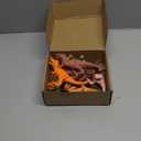 18 Pcs Dinosaur Birthday Party Decorations Animal Cake Toppers Mini Birthday Hat Figure Model for Animals Themed Party