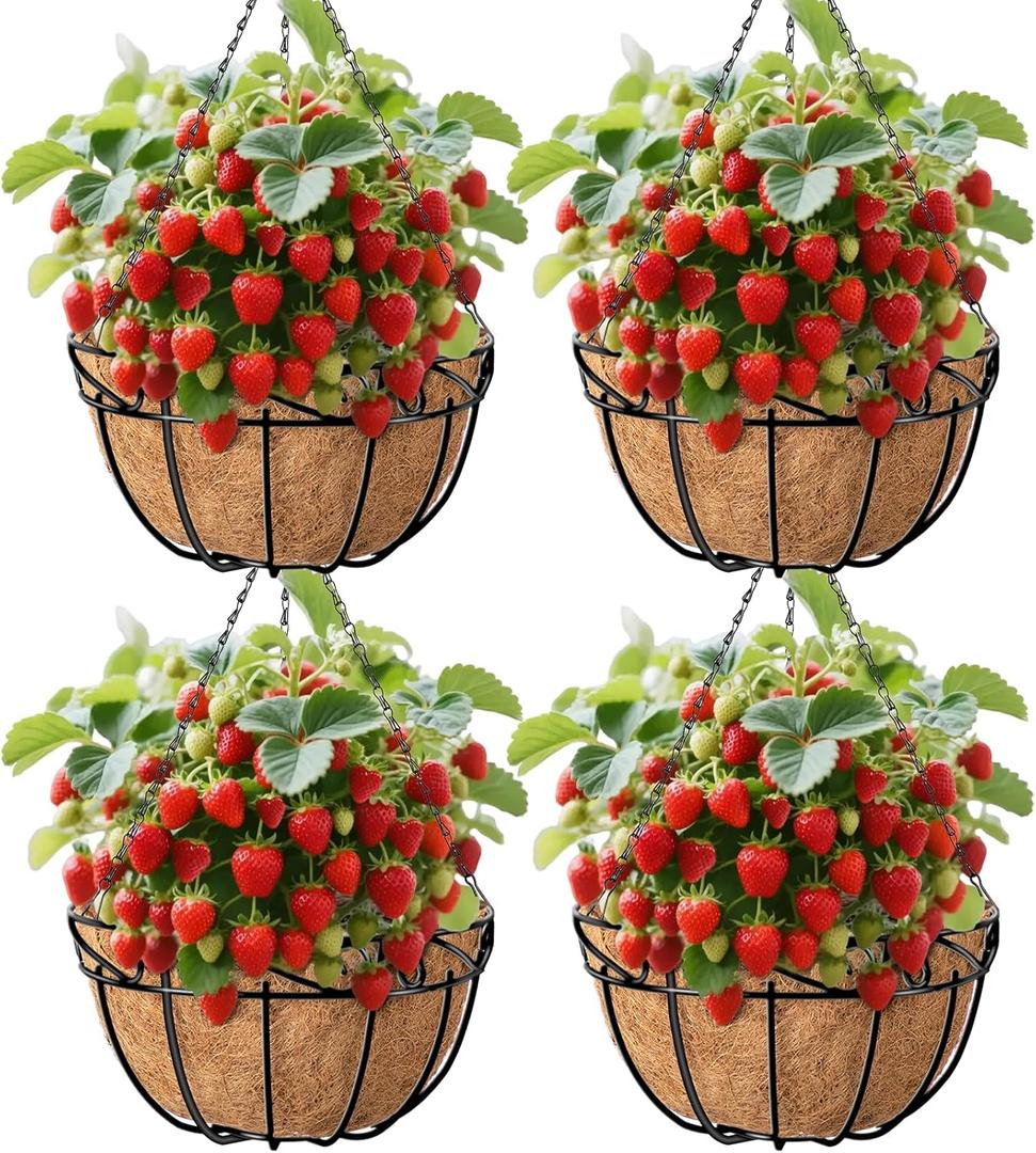 Amagabeli 4 Pack 14 Inch Metal Hanging Baskets Planter Outdoor Round Wire Hanging Basket for Plants with Coco Fiber Liners Chain Plant Holder for Garden Patio Deck Porch Plants Vegetables Flower Pots (Black)