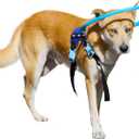 LetPetRun Protective Halo Harness for Blind Dogs,Adjustable Protective Ring Collar Vest, Safe Walking Navigation Aid for Visually Impaired Dogs (21"-25")