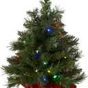 National Tree Company 24 in Pre-Lit Majestic Fir Artificial Christmas Tree, 35 Multicolor Lights, 71 Tips, Timer, Red Cloth Base, Green