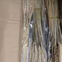 Geosar 1600 Stems Dried Wheat Stalks for Decor Natural Wheat Grass Sheaves Bundle Farmhouse Artificial Flowers Arrangement for DIY Wedding Table Home Centerpieces Party Decorative (16 Inch)