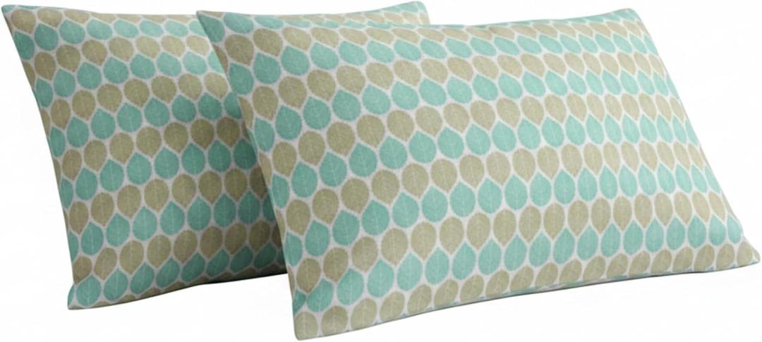 Queen Pillowcases Set of 2, Cotton Pillow Covers Queen Size 20x30 Inches, Envelope Closure, Decorative Pillowcases, Pillows not Included (Multicolor, Paisley)