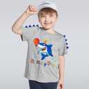 Dinosaur Birthday Boy T-Shirts Dino Birthday Shirts for BoysTolddlers Dinosaur B-Day Party T Shirt (Gray, XL)