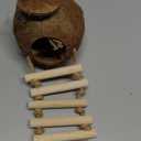 Gecko Tank Accessories Natural Coconut Shell Hut with Climbing Ladder & Suction Cup Hermit Crab Toys Reptile Hideout for Leopard Gecko Snake Lizard and Small Pets Habitat Decor