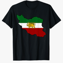 Iran flag with Lion T-shirt, Size: Small