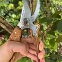 Branch Trimmer, Japanese Bonsai Trimming Scissors, Garden Clippers Handheld, Ergonomic Gardening Tools, Floral Shears Gardening Set, Garden Pruners Farming Tools (Wood Silver)