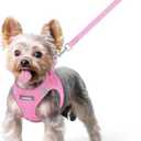rabbitgoo Dog Harness Small Sized and Leash Set, Step in Soft Light Puppy Vest, Breathable Mesh Pet Harness, Reflective for Safe Easy Walking, Light Pink XS