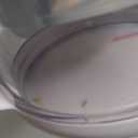 OXO Good Grips Vegetable Chopper