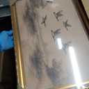 Vintage Ornate Gold Framed Duck Wildlife Wall Art 16x24 inch