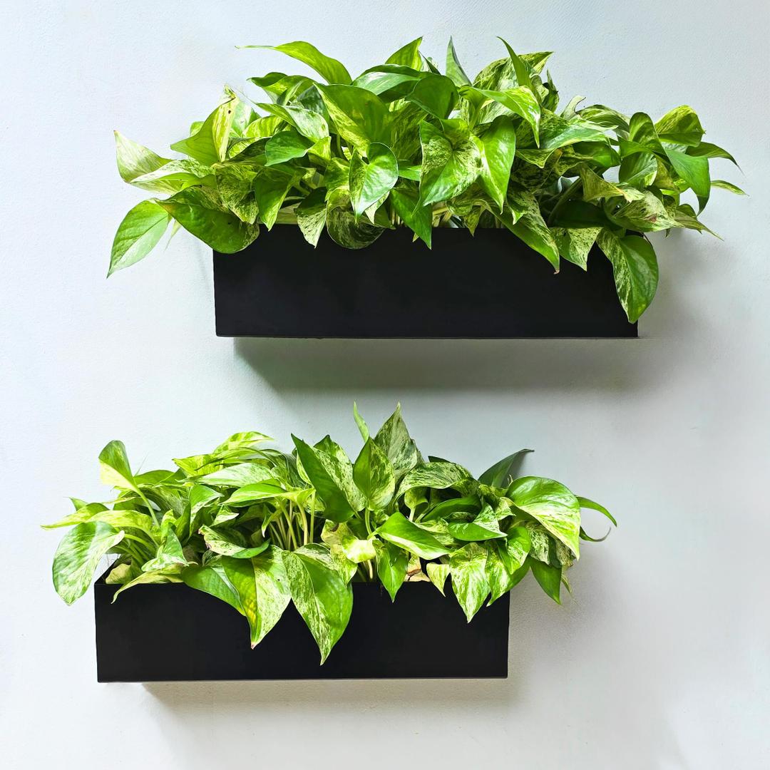 LaLaGreen Wall Planter (16 Inch, 1 Pack) Rectangular Metal Hanging Flower Pot for Succulents Carbon Steel Black, Long Window Sill Box Modern Fence Floating Garden Shelf for Deck Indoor Outdoor Decor