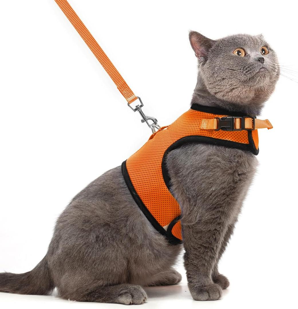 PUPTECK Soft Mesh Cat Vest Harness and Leash Set Puppy Padded Pet Harnesses Escape Proof for Cats, Dogs Rabbits Bunny, Orange, XL