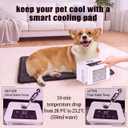 DuDuDog Pet Pad Water Circulation Self Cooling System for Summer | Timed Electronic Self-Cooling and Heating for Dogs and Cats, 24 x 16 in
