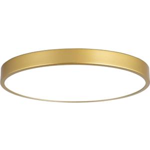 Brushed Gold 9 Inch Flush Mount Ceiling Light, 3000K-5000K Dimmable, 20W Low Profile Metal LED Ceiling Light, Round Flat Pane Surface Mount Lighting Fixture