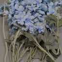 8PCS Blue Delphinium Artificial Flowers Larkspur Fake Flowers 33.5in Long Stem Faux Silk Flowers Bulk for Tall Vase for Home Wedding Floral Arrangement Centerpiece Table Decorations (Baby Blue)