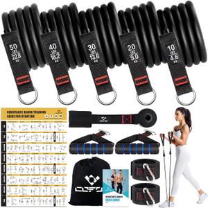Resistance Bands with Handles for Women, 5 Level Exercise Bands Workout Bands for Physical Therapy, Yoga, Pilates, Door Anchor, Storage Pouch (10-150 LBS Black)