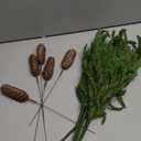 HyeFlora 19 Inch Christmas Norfolk Pine Stems, 12PCS Real Touch Faux Cedar Pine with 5PCS Big Pine Cones Branches, Artificial DIY Greenery Stems Plastic Picks for Vase Indoor Outdoor Home Garden Dcor