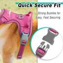 BARKBAY Dog Harness No Pull Mesh for Small Dogs - Adjustable, Reflective, Comfortable, No Choke, Heavy-Duty - Perfect for Outdoor Training, Walking, and Hiking - Strong & Durable - XS & Pink Mesh