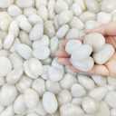 FANTIAN 5lbs White Pebbles for Indoor Plants, 0.8-1.2 Inch Smooth White River Rocks for Potted Plants, Decorative Polished Stones for Landscaping Vase Fish Tank and Outdoor Garden Pavers, 5 Pounds