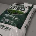 Pennington Kentucky 31 Tall Fescue Grass Seed 20 lbs