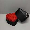 16 Forever Flowers, 9.2 inch Preserved Flowers in Heart Shape Box with Lights, Fresh Preserved Roses Gift for Her, Eternal Roses Gifts for Women Wife Birthday Mothers Day, Valentines Day Anniversary