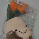 WUZHOU Tulip Plush Toy, 13.7" Flower Pot Stuffed Plushie Pillow Decoration, Soft Fluffy Toy Succulent Plants Friend Throw Pillow, Multicolor (Orange-Tulip)