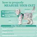 rabbitgoo Cat Harness and Leash for Walking, Escape Proof Soft Adjustable Vest Harnesses for Cats, Easy Control Breathable Reflective Strips Jacket, Emerald, M