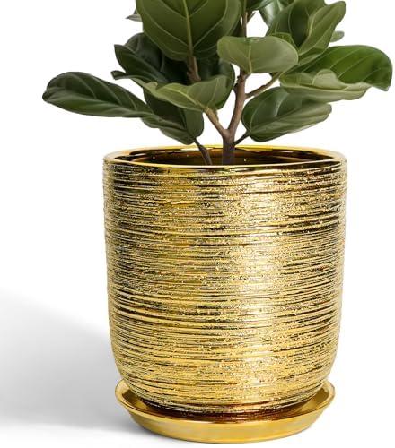 Amazon.com : SUNPOTFOR Ceramic Flower Pot for Indoor Plants - 10 Inch Plant Pot with Drainage Hole and Saucer, Decorative Round Outdoor Indoor Planter, Housewarming Gifts, Home Garden Decor, Gold : Patio, Lawn & Garden