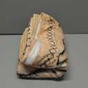 YPURTSD Wife Valentines Day Birthday Gifts from Husband Ideas - Happy Wedding Anniversary Romantic Gifts for Women - I Love You Gift for Her - Birthday Presents for Her - to My Wife Blanket 50"x60"