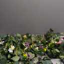 4 Pack 5.68 FT Artificial Daisy Garland with 3D Butterfly, Hanging Fake Flowers Greenery Eucalyptus Garland Floral Vines for Wedding Table Home Room Sping Decor