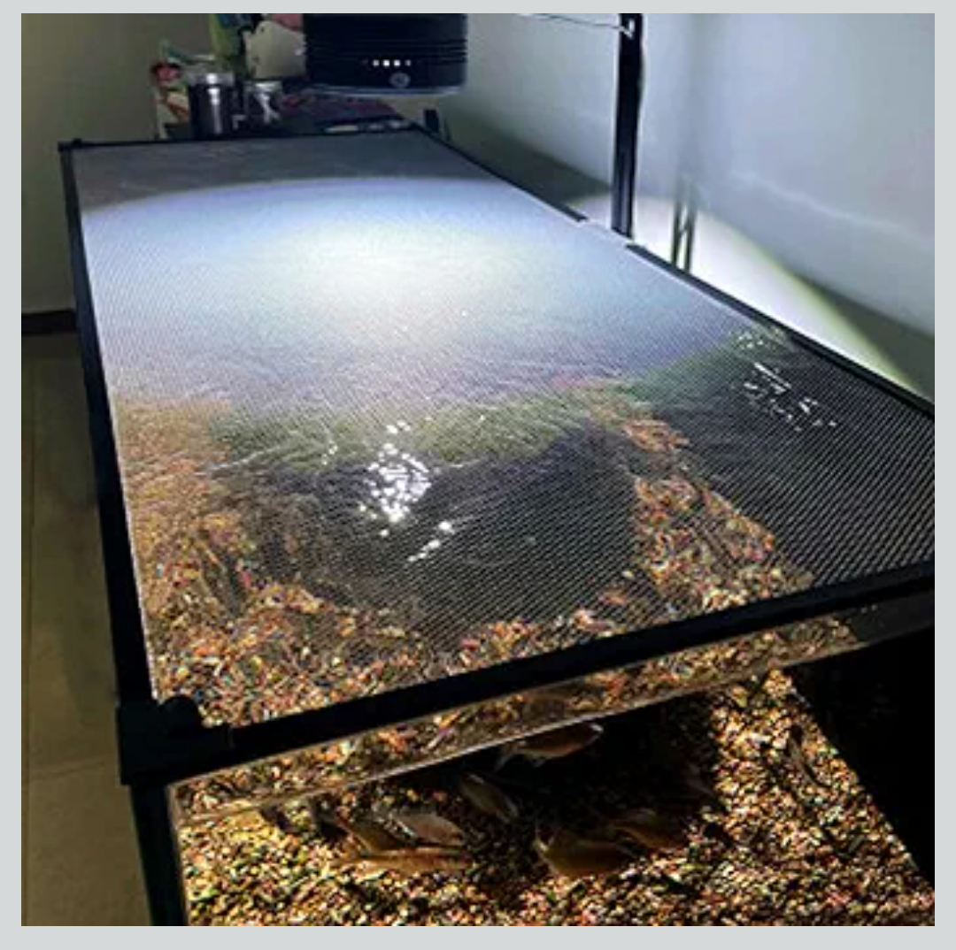 Magnetic Fish Aquarium Anti-Jumping net Cover, Mesh Screen Netting for Fish Aquarium Screen Top Cover, Reptiles from Jumping Out