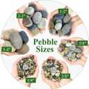 YISZM 40lbs Natural River Rocks, 1-2" Premium Pebbles for Garden and Landscape Design, Hand-Picked Smooth Stones for Fish Tank, Flower Pots, Indoor Water Fountains, Pathways, Backyard
