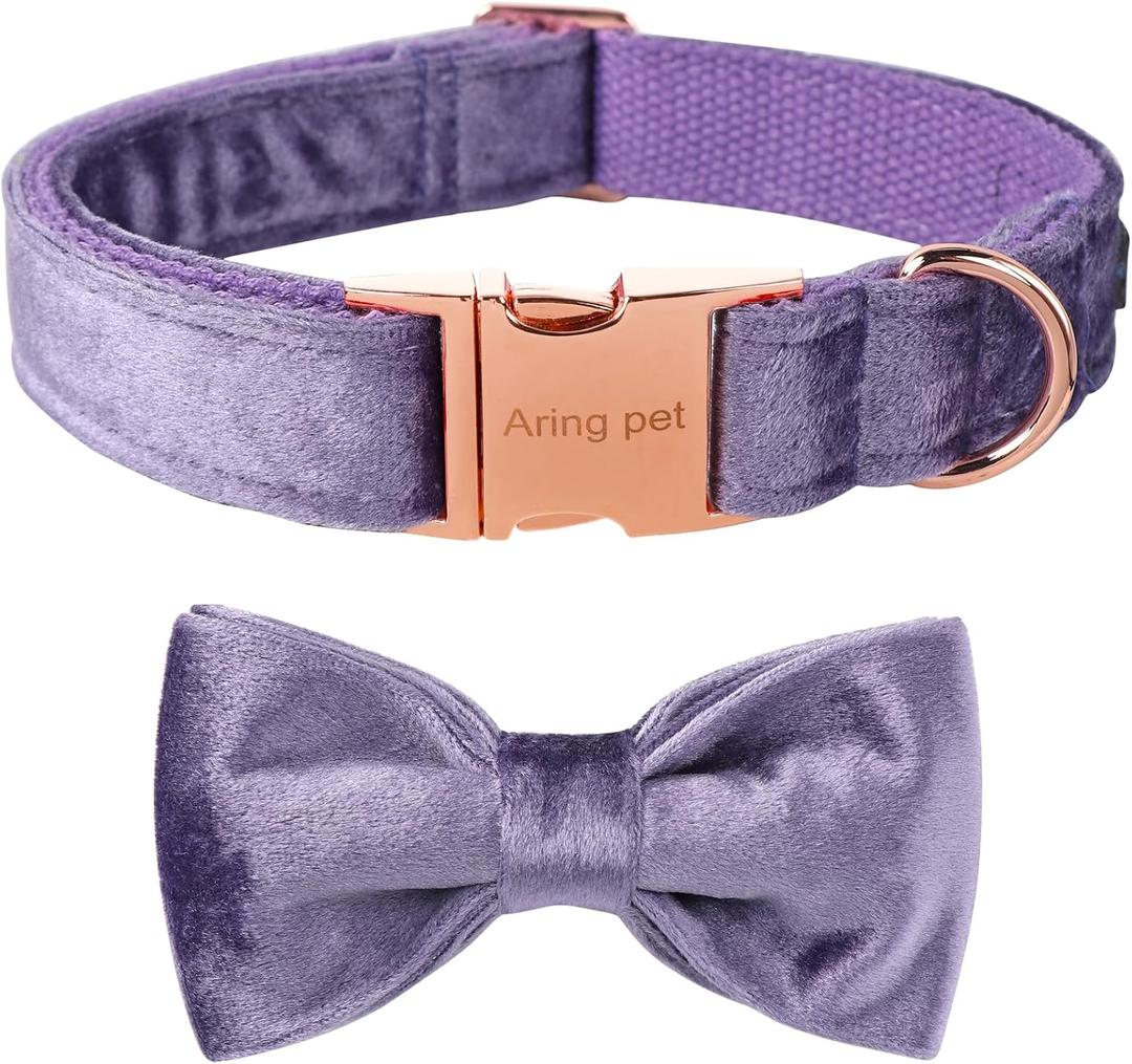 ARING PET Bowtie Dog Collar-Velvet Dog Collars with Removable Bowtie, Cute &Comfortable Purple Dog Collar,Small. (Small (Pack of 1))