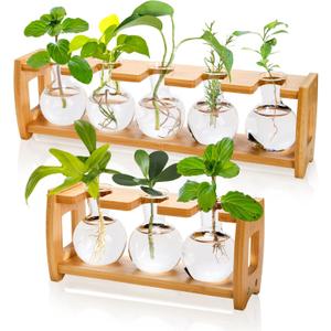 2 Pack Propagation Stations with Bamboo Stand, 8 Bulbs Desktop Water Plant Terrarium Vase, Retro Plant Propagation Jars for Indoor Plants, Glass Planter Gifts for Home Office Table Decor