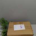 Moucuny 30 Pcs Christmas Norfolk Pine Branches with Lights 18" 24 Artificial Norfolk Stems Branches with Pinecone 6 Lighted Stems for Vases Xmas DIY Garland Wreath Home Centerpiece Table Decorations